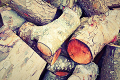 Shelve wood burning boiler costs